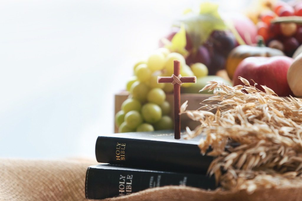 The Fruit of Your Faithfulness